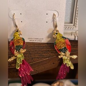 Colorful Parrot Bird Earrings